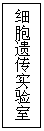文本框: 细胞遗传实验室